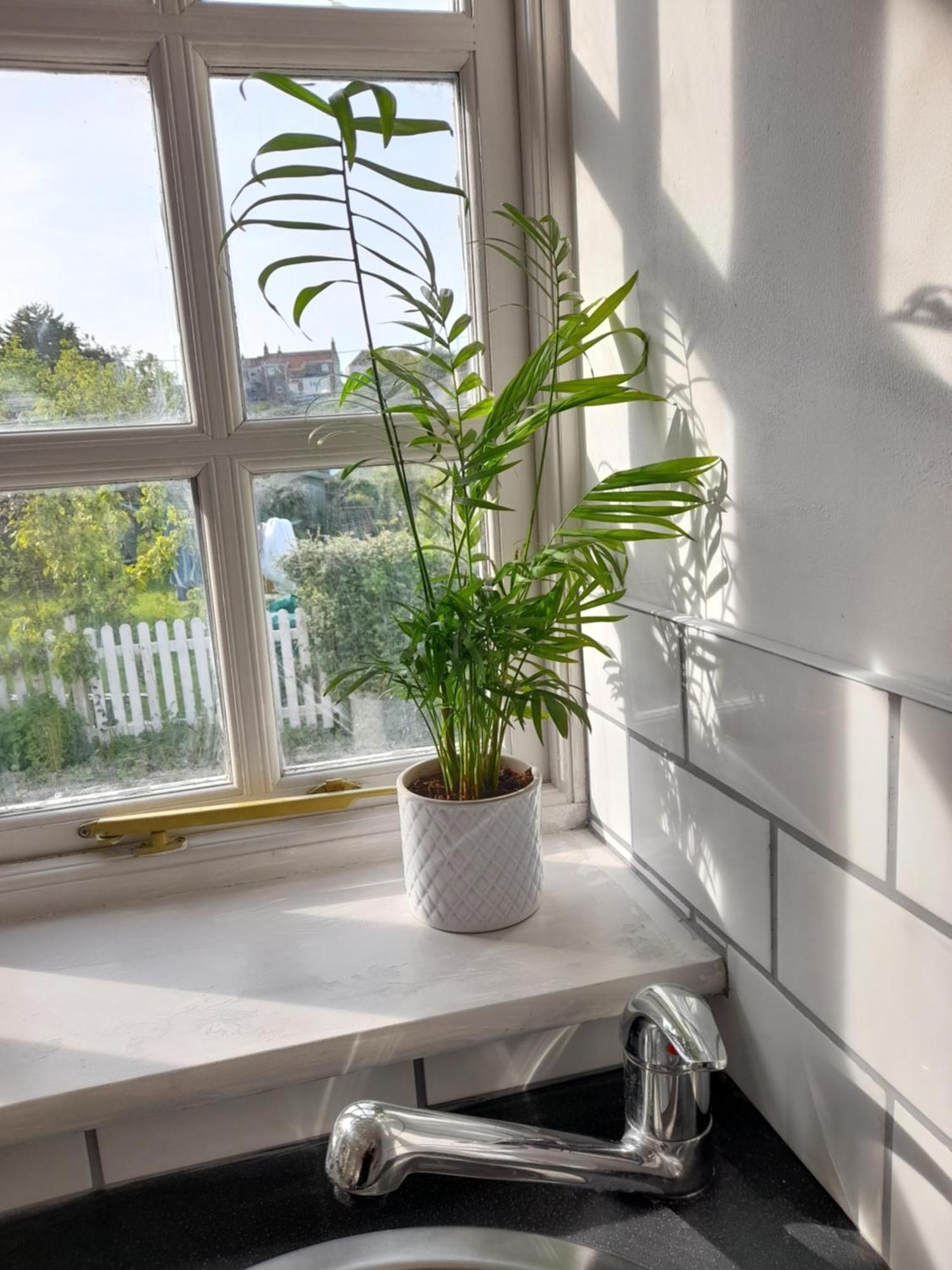 My Little Studio Farmborough 外观 照片