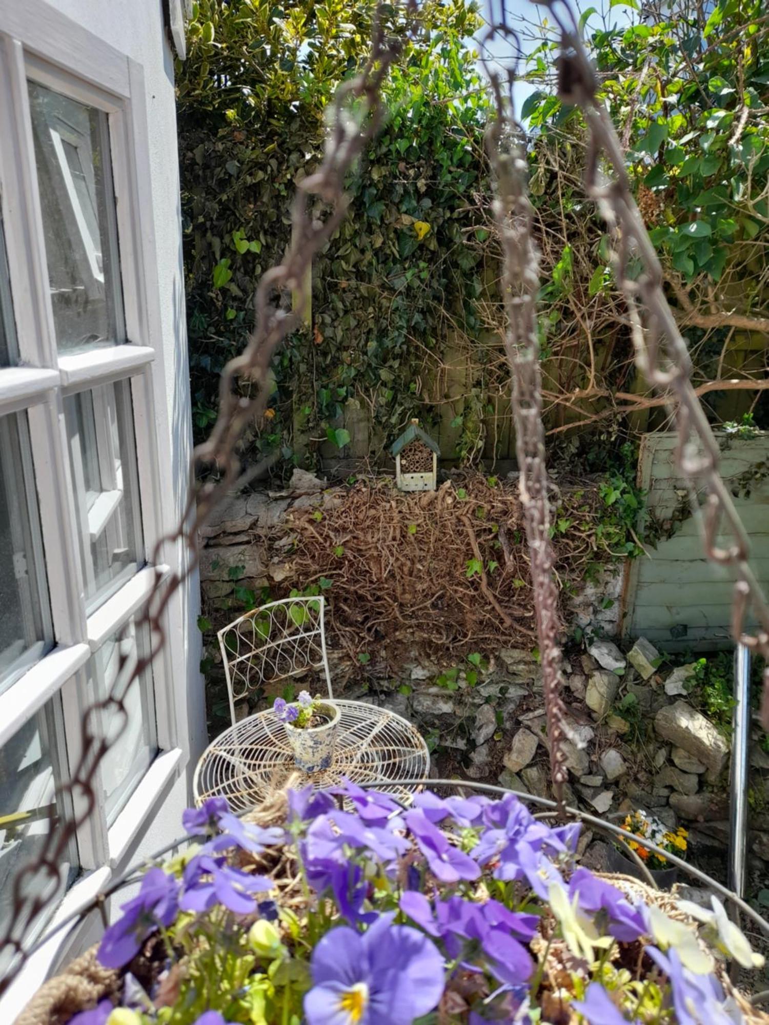 My Little Studio Farmborough 外观 照片